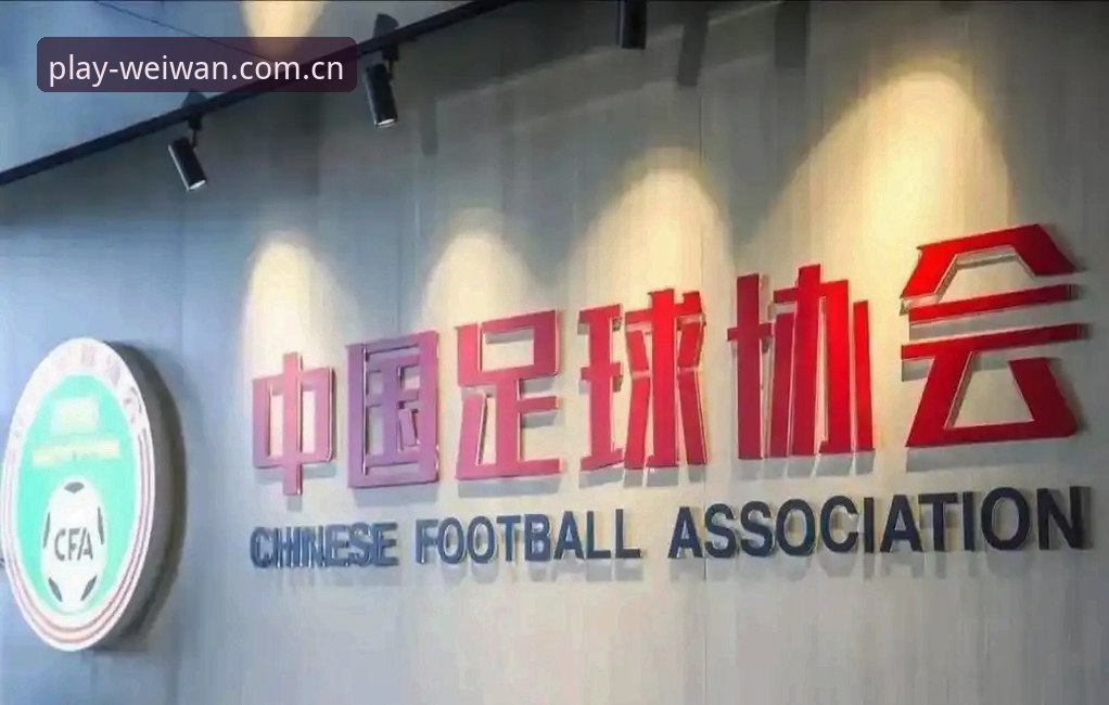 微玩体育安卓版 中国足协公布第三批禁足名单最新动态,65人受罚行业再掀严打风暴